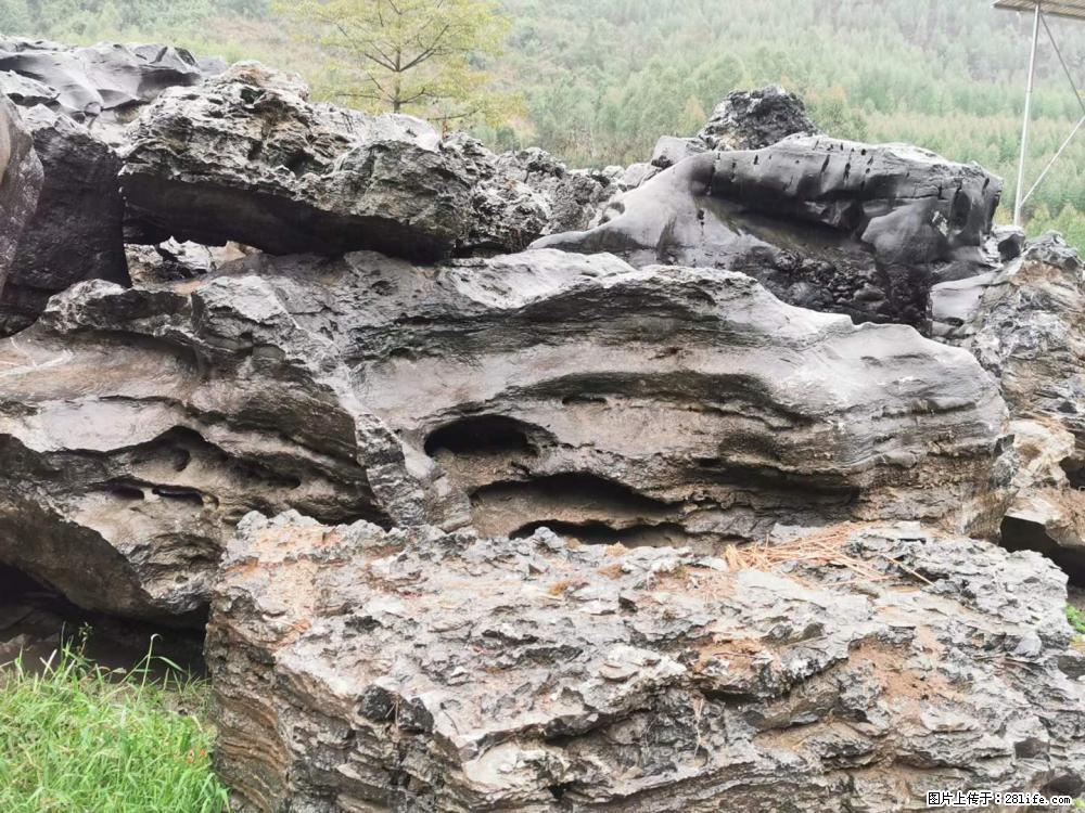 风景石、假山石大量有货，有需要的欢迎联系 - 新手上路 - 台州生活社区 - 台州28生活网 tz.28life.net