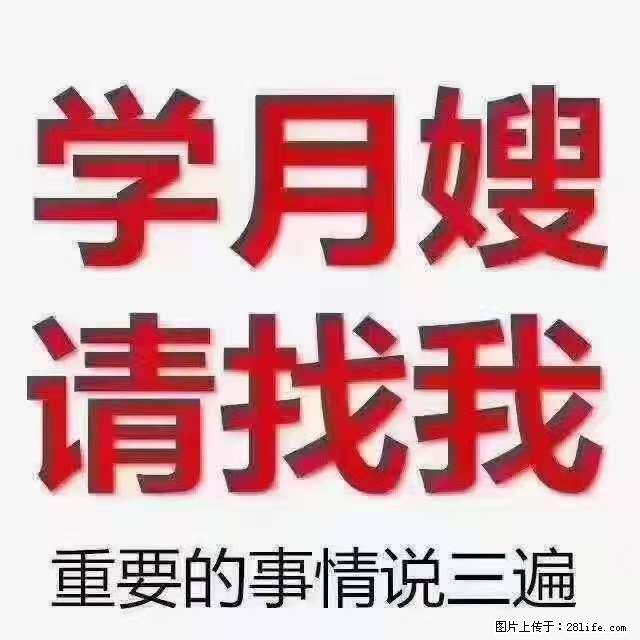 为什么要学习月嫂，育婴师？ - 其他广告 - 广告专区 - 台州分类信息 - 台州28生活网 tz.28life.net