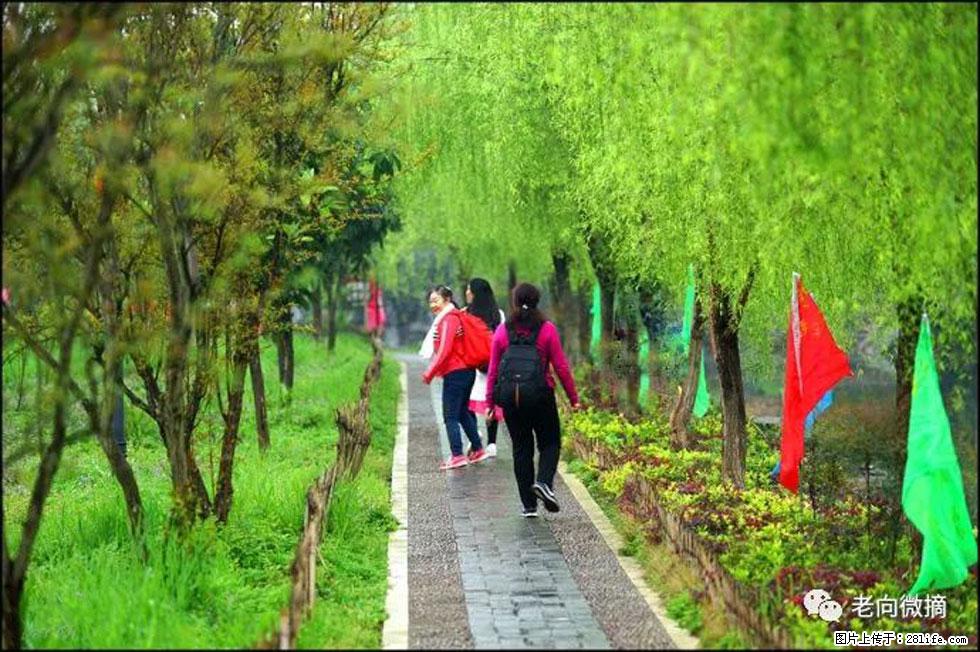 【春天，广西桂林灌阳县向您发出邀请！】江口老街又逢春 - 游山玩水 - 台州生活社区 - 台州28生活网 tz.28life.net