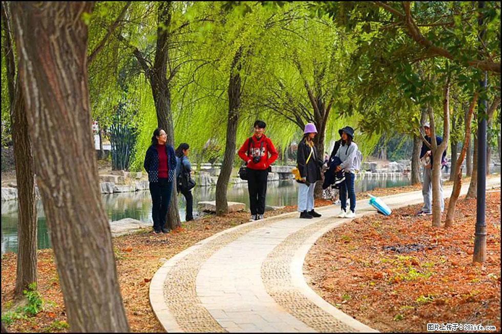 【春天，广西桂林灌阳县向您发出邀请！】江口老街又逢春 - 游山玩水 - 台州生活社区 - 台州28生活网 tz.28life.net