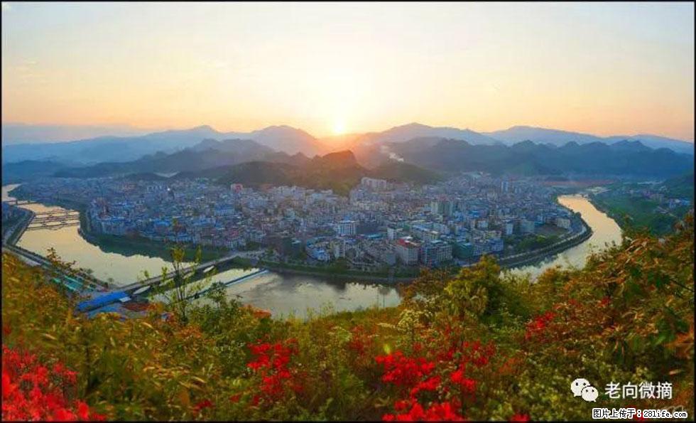 【春天，广西桂林灌阳县向您发出邀请！】登麒麟山，相约映山红 - 游山玩水 - 台州生活社区 - 台州28生活网 tz.28life.net