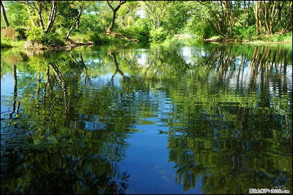 【春天，广西桂林灌阳县向您发出邀请！】熊家寨湿地公园 - 游山玩水 - 台州生活社区 - 台州28生活网 tz.28life.net