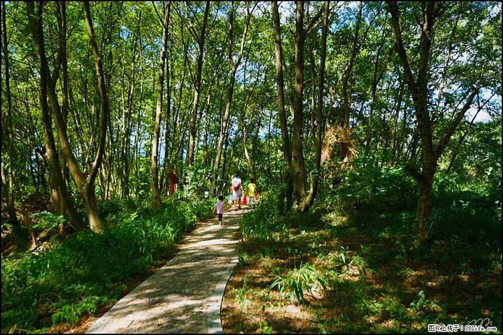 【春天，广西桂林灌阳县向您发出邀请！】熊家寨湿地公园 - 游山玩水 - 台州生活社区 - 台州28生活网 tz.28life.net