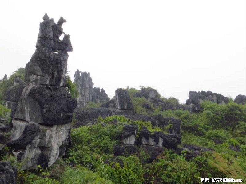 桂林旅游名城景点：灌阳文市石林 - 游山玩水 - 台州生活社区 - 台州28生活网 tz.28life.net