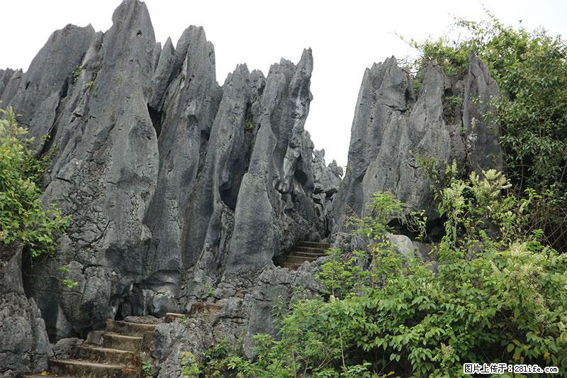 桂林旅游名城景点：灌阳文市石林 - 游山玩水 - 台州生活社区 - 台州28生活网 tz.28life.net