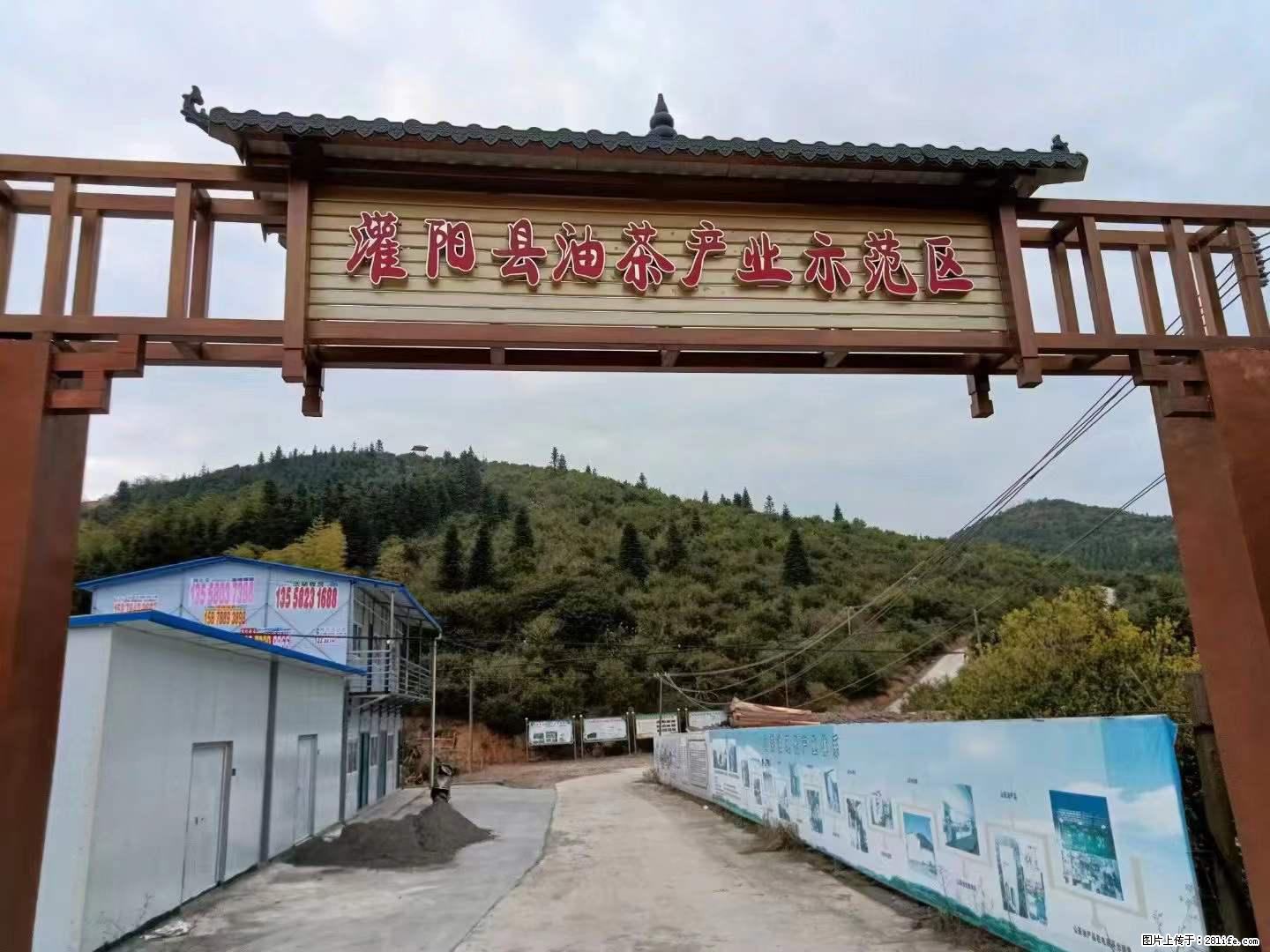 【灌阳县油茶产业示范区】一个有着充实的精神生活的人,对待身外之物自会有一种淡泊的态度 - 土特产 - 饮食特产 - 台州分类信息 - 台州28生活网 tz.28life.net