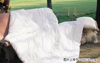 被子有异味？只要这样做，比晒太阳还强100倍！ - 家居生活 - 台州生活社区 - 台州28生活网 tz.28life.net