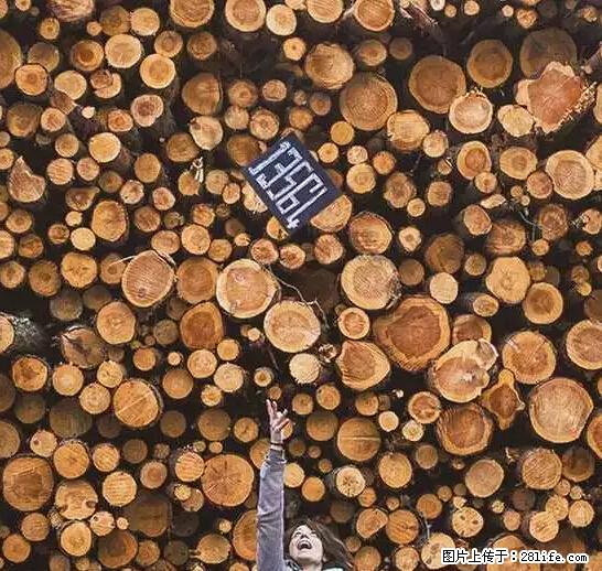辞掉工作周游世界？现在他们在洗厕所…… - 游山玩水 - 台州生活社区 - 台州28生活网 tz.28life.net