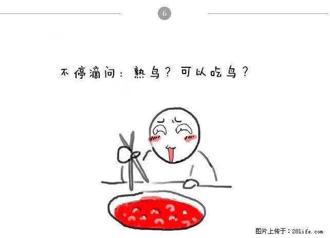 千万不要和这9种哈卵一起吃火锅！ - 美食天地 - 台州生活社区 - 台州28生活网 tz.28life.net