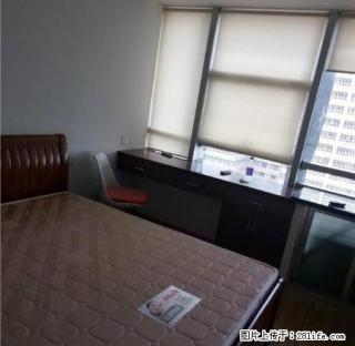 椒江 巨鼎国际 精装修 现代简约风格 只要1000 速度速度 - 台州28生活网 tz.28life.net