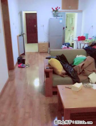 急租 金鼎苑 熙苑小区 横河新村 中山西路 - 房屋出租 - 房屋租售 - 台州分类信息 - 台州28生活网 tz.28life.net