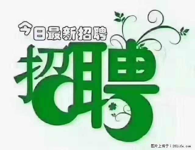 【招聘摄像师】待遇：试用期6000元/月，转正7000元/月+五险一金+餐补+节日福利+奖金 - 其他招聘信息 - 招聘求职 - 台州分类信息 - 台州28生活网 tz.28life.net