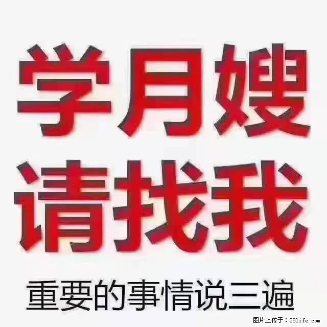 【招聘】月嫂，上海徐汇区 - 职场交流 - 台州生活社区 - 台州28生活网 tz.28life.net