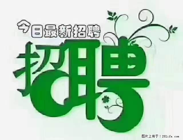上海隔离酒店招人：55岁以下 男女不限 - 职场交流 - 台州生活社区 - 台州28生活网 tz.28life.net