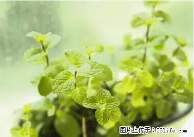 晕车、脚气、牙齿变黄、皮肤粗糙？学会这些三分钟搞定！ - 台州生活资讯 - 台州28生活网 tz.28life.net