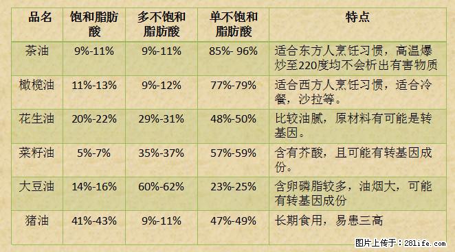 揭秘茶油的5大核心营养成分！被称为人体健康的“守护盾”！ - 台州生活资讯 - 台州28生活网 tz.28life.net
