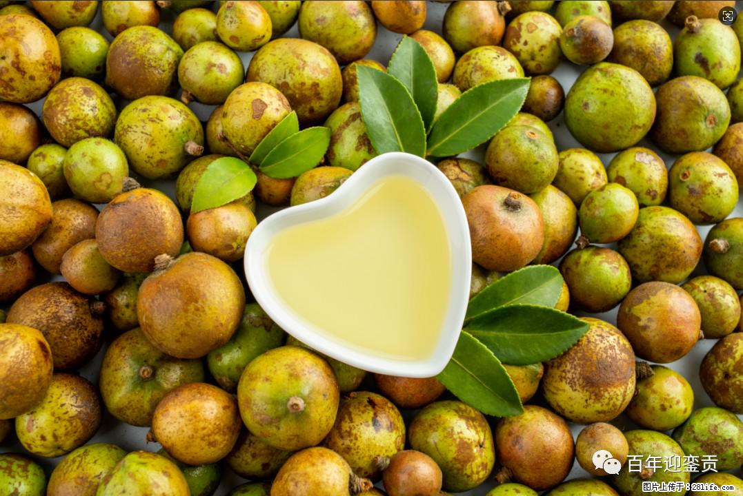 世界没有真相，只有认知，最好的食用油是中国的山茶油！ - 台州生活资讯 - 台州28生活网 tz.28life.net