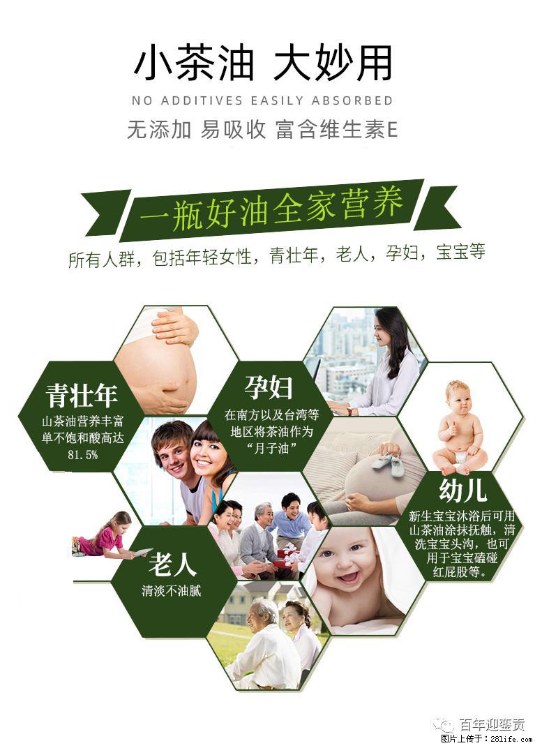世界没有真相，只有认知，最好的食用油是中国的山茶油！ - 台州生活资讯 - 台州28生活网 tz.28life.net