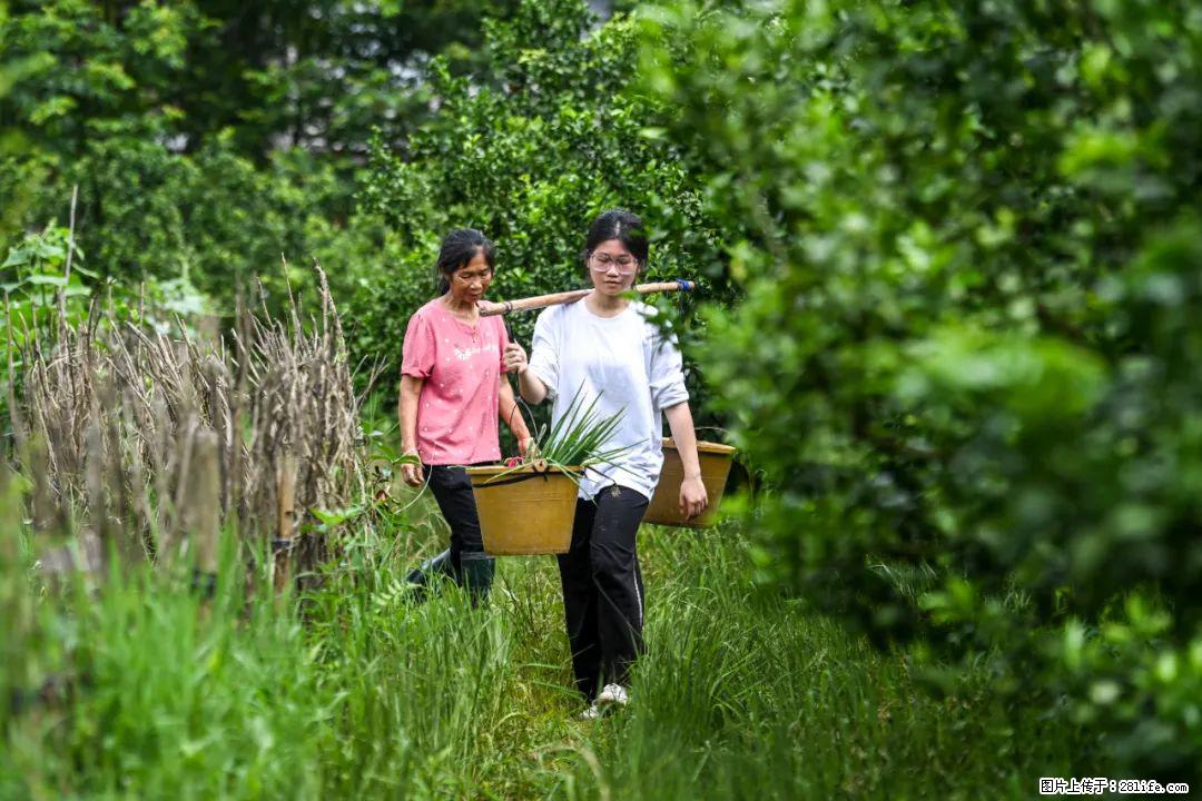 全网追的“扁担女孩”，找了一份暑假工，时薪12元 - 台州生活资讯 - 台州28生活网 tz.28life.net