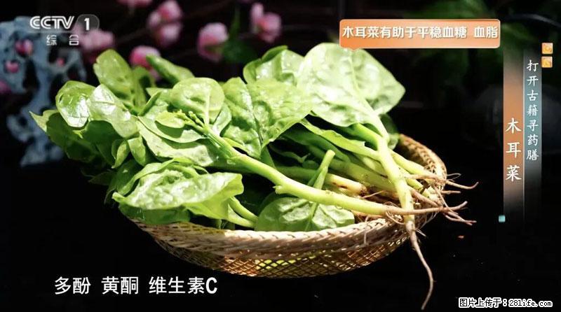 比牛奶补钙还厉害！凉血解毒、稳血糖...这菜冬天必吃，很多人却当草 - 台州生活资讯 - 台州28生活网 tz.28life.net