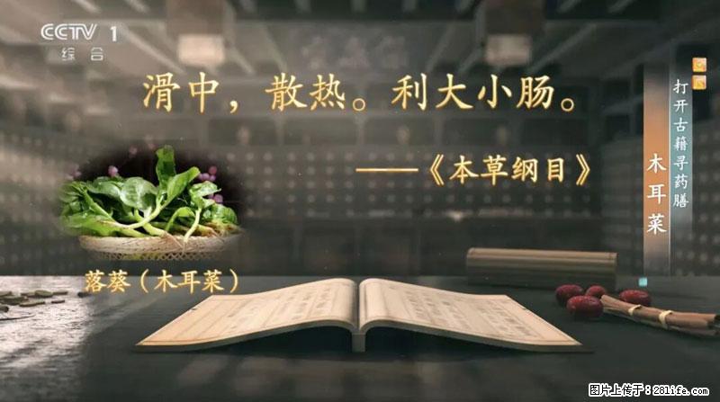 比牛奶补钙还厉害！凉血解毒、稳血糖...这菜冬天必吃，很多人却当草 - 台州生活资讯 - 台州28生活网 tz.28life.net