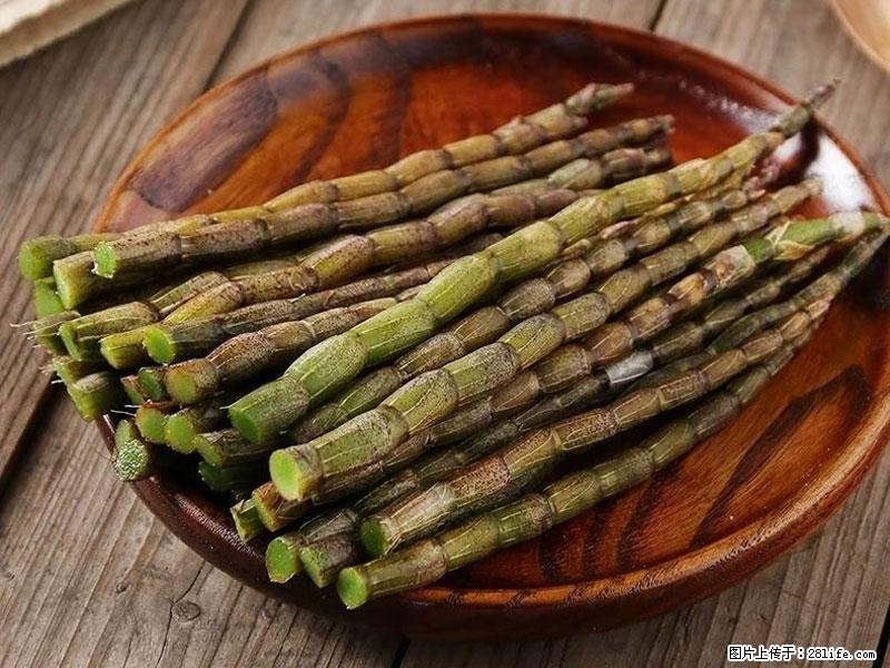 铁皮石斛的作用与功能主治 - 台州生活资讯 - 台州28生活网 tz.28life.net