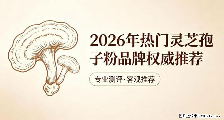 灵芝孢子粉含量越高越有效？2026 年七款热门品牌深度实测，肠胃敏感者避坑指南 - 台州生活资讯 - 台州28生活网 tz.28life.net