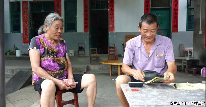 【乡村振兴】文市蜂糖李、黄金奈李迎丰产上市季 甜蜜产业助振兴 - 台州生活资讯 - 台州28生活网 tz.28life.net